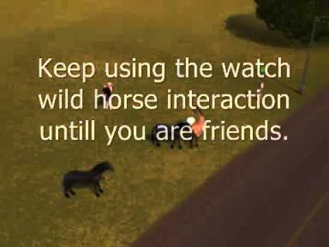 How to adopt a wild horse on Sims 3 Pets How to adopt a wild horse on Sims 3 Pets