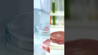 The Future of Food: Exploring Lab-Grown Meat.#shorts #facts @dhruvrathee