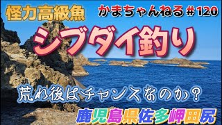 台風の荒れ後はチャンスなのか？～佐多岬田尻のシブダイ釣り～かまちゃんねる第120話