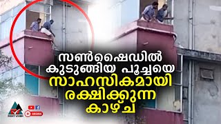 ചേലക്കര:: മൂന്നാം നിലയിലെ സൺഷൈഡിൽ കുടുങ്ങിയ പൂച്ചയെ നാട്ടുകാർ രക്ഷിക്കുന്ന കാഴ്ച കാണാം