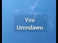 yini umndawu