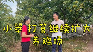 养鸡场又遇困难，打算继续扩大经营，阿金哥会同意？