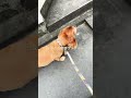 今日色々あって3回目のお散歩 キャバリア ゴールデンレトリバー 大型犬と暮らす ミックス犬 大型犬 犬がいる暮らし goldenretriever 12歳