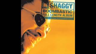 Shaggy - Boombastic