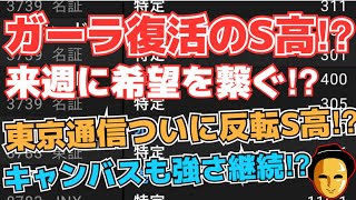 【株投資】『ガーラ』復活のストップ高!?,『東京通信』ついに反転ストップ高!?,『キャンバス』連続S高ならずも強さ継続!?【掲示板トレーダー】