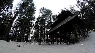 Hidimba Devi temple in fast motion