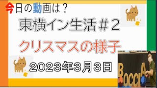 【23－109】障害者ｙｏｕｔｕｂｅｒウォーキングyummy～東横イン生活＃２クリスマスの様子