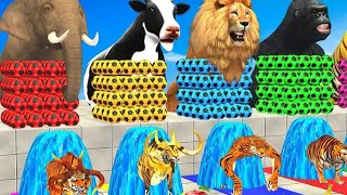 Cow, Lion, Elephant, Gorilla, Tiger fountain crossing | Animal fountain crossing game