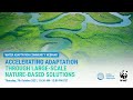 Webinar: Accelerating Adaptation through Large-Scale Nature-Based Solutions