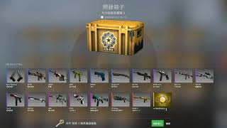 【CS GO】BOX 20連抽  竟中 AWP艾西莫夫!?