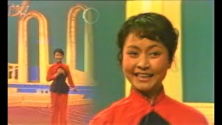 年轻的朋友来相会  彭丽媛演唱（1983年）