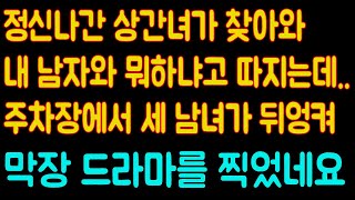 (실화사연)상간녀가 찾아와 내 남자와 뭐하냐고 따지는데 주차장에서 세 남녀가 뒤엉켜 막장 드라마를 찍었네요../사연라디오/사이다사연