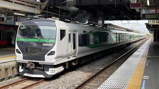 E257系5000番台と5500番台に会っちゃいました！