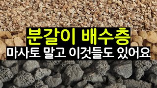 분갈이 할 때 마사토 하나만 사용하고 계신가요? (배수층의 원리와 쓰이는 자재 종류) #식물