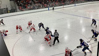 Traverse City: Blues vs. Red Wings