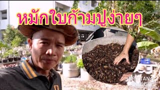 ชมการหมักใบก้ามปูสูตรพี่วินิจ