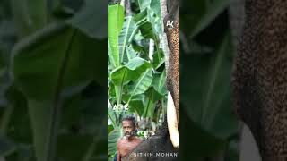 കാവടി ആശാൻ 🔥🔥🔥