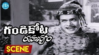 Gandikota Rahasyam Movie Scenes - Raja Babu Comedy || NTR ||  Jayalalitha