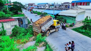 Wonderful First Start New Project LANDFILLING BY Expert Driver Skill Dozer KOMATSU D31P & Dump Truck