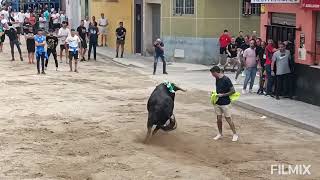 BURRIANA ( CS ) 1-6-2024 TORO CERRIL DE TORRE ONOFRE  ( TORO DE LAS 13 : 00 H )