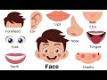 Parts Of Face|Parts of face English|Body parts vocabulary