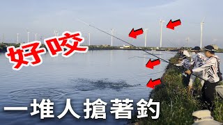 咬到翻掉 2小時狂釣近百條 