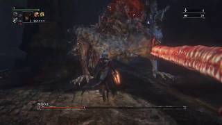 Bloodborne Lv4貧者で全盛り獣血の主(首なし)