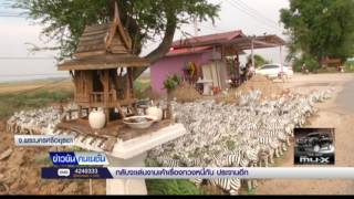 อาถรรพ์? เจ้าแม่ตะเคียนทอง  แฟนวิ่งข้ามถนนถูกรถชนตาย 08-05-60