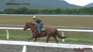 サンベリーナ調教風景他