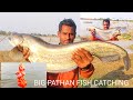 AMAZING BIG SIZE | WALLAGO ATTU PATHAN FISH CATCHES | BIG MONSTER FISH | FISHING VIDEOS