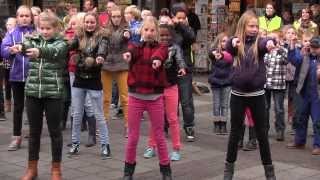 Flashmob Diedeldoorn 06 11 12 EMMEN