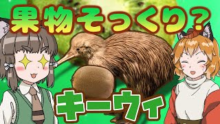 【ゆっくり解説】キウイそっくり？愛され鳥キーウィ【へんないきもの#55】