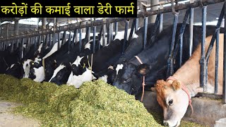 Tour of Modern Dairy Farm of India | Gill Dairy Farm Moga Punjab