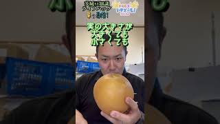 ★331 【梨の選び方】これで失敗しない！うまい梨とは・・・ #Shorts