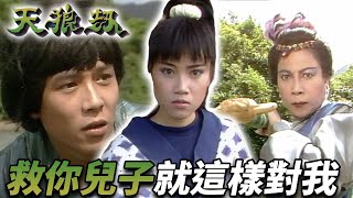 原諒仇人還救了仇人的兒子！結果她竟然還想殺我！？｜天狼劫｜劉德華｜邵美琪｜羅麗娥｜黎漢持｜朱鐵和｜羅蘭｜劉丹｜港劇精華