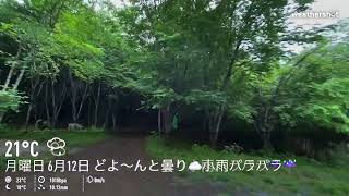 今日のおいらの森の天気 2023年6月12日 月曜日 曇り時々雨🌨 ☔️明日明後日曇り時々雨🌨☔️ 後半は梅雨の中休み️ @Oiranomori