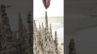 Sand forest #oddlysatisfying #sandcastle #satisfying #nature #forest