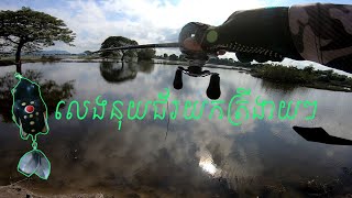 Catching 2 snakeheads fish use black rubber frog bait | នុយជ័រនៅតែអេម ស្រួលលេង ស្រួលយកត្រី #fishing