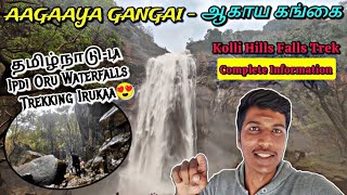 🔴TAMILNADU'S FANTASTIC AAGAAYA-GANGAI WATERFALLS!!! ஆகாய-கங்கை | Kolli Hills Trekking | Naveen Kumar