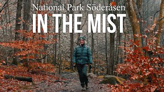 THROUGH the MIST | Sweden's Hidden Nature Beauty: National Park Söderåsen ep.58 #gopro #hiking