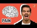 Do We Feel Pain Differently?
