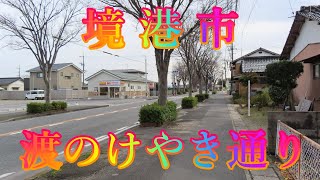 師走の散策 12月20日 金曜 曇りのち晴れ 冬の道筋 #境港市 渡のけやき通り 日本 鳥取県境港市渡町 竜ヶ山公園 @WalkingYoshi