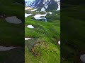 Сулуу Төр Төө Ашуу kyrgyzstan kyrgyz travel bars kochevnik nature video by shalta_traveler