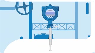 The Fox Thermal Mass Flow Meter Digital Advantage