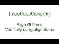 CSS Grid - Align All Items Vertically using align-items - Free Code Camp