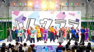 [4K] 大阪公立大学チーム朱蘭　総踊り『エビバディこいや！！』　ふたば祭 2024 大阪公立大学 学園祭