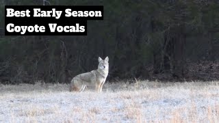 Oklahoma Coyote Hunting: Using Coyote Vocals (4K)