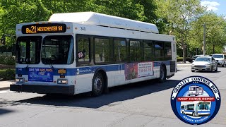 NYCT || Westchester Square Bound 2011 C40LF CNG #340 Bx21 Bus at Eastchester Road