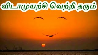 விடாமுயற்சி வெற்றி தரும்-Tamil Motivational Speech? motivational video? powerful motivational video?