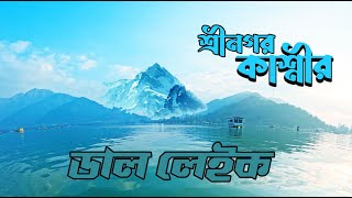 কাশ্মীরে কম খরচে শিকারা রাইড করলাম যেখানে | Dal Lake Shikara Ride | Srinagar | Kashmir |